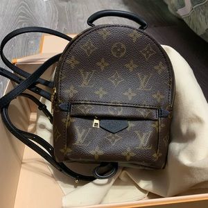 Louis Vuitton Palm Springs Mini